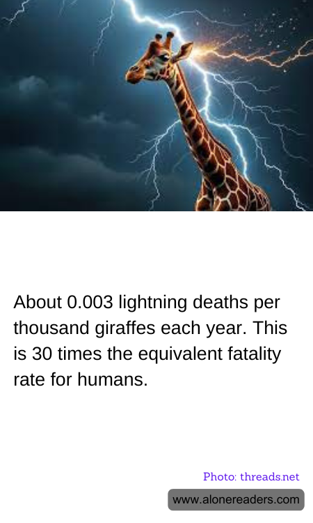 General Knowledge Learning Cards