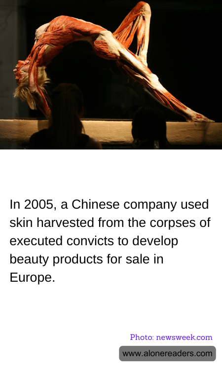 General Knowledge Learning Cards