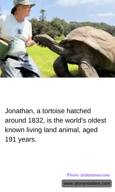 General Knowledge Learning Cards