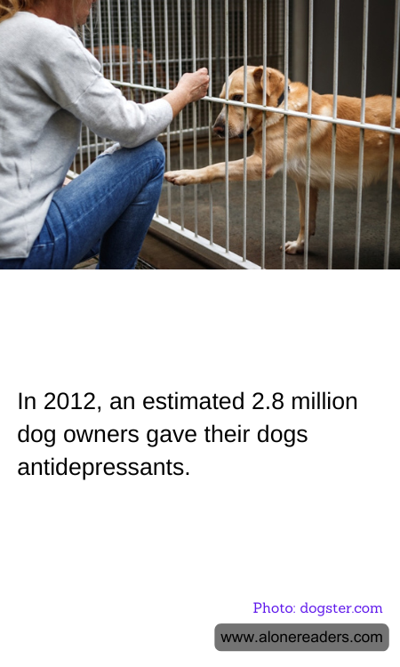 In 2012, an estimated 2.8 million dog owners gave their dogs antidepressants.