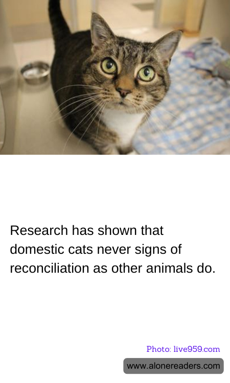 General Knowledge Learning Cards