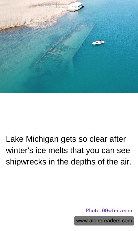 General Knowledge Learning Cards