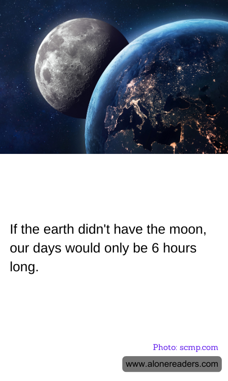 General Knowledge Learning Cards