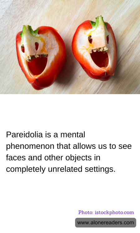 General Knowledge Learning Cards