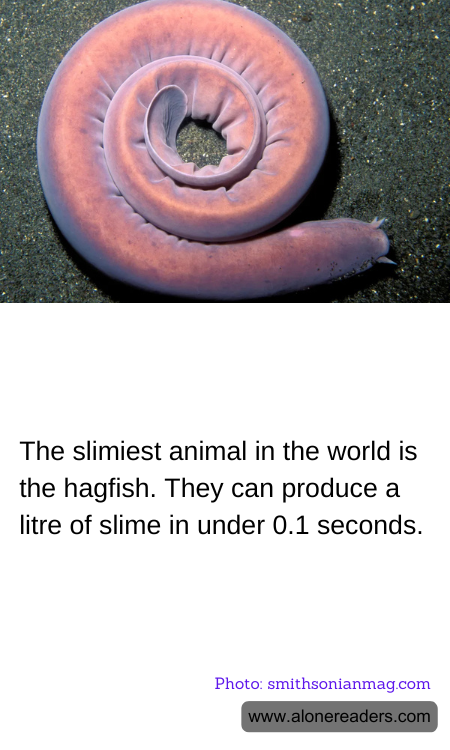 General Knowledge Learning Cards