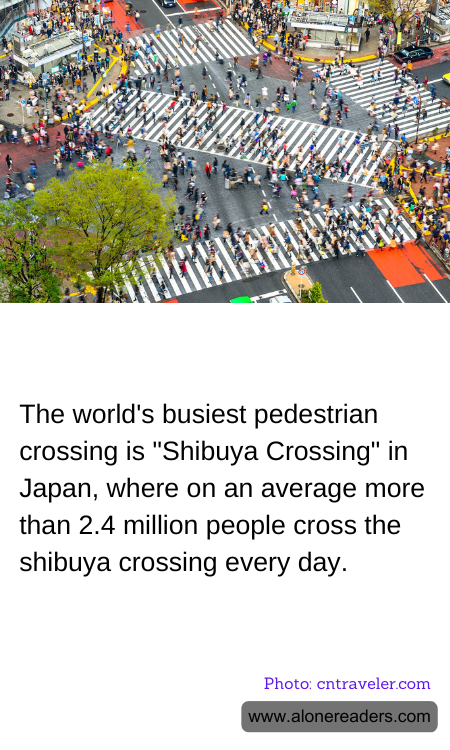 General Knowledge Learning Cards