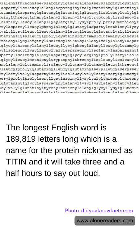 General Knowledge Learning Cards