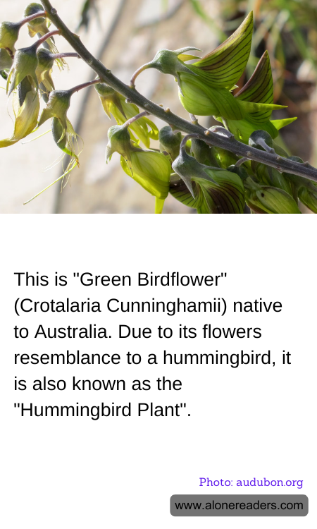 General Knowledge Learning Cards