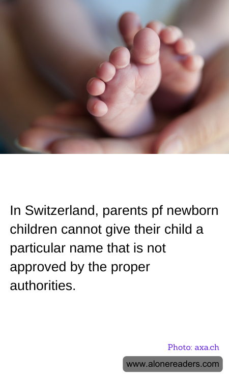 General Knowledge Learning Cards