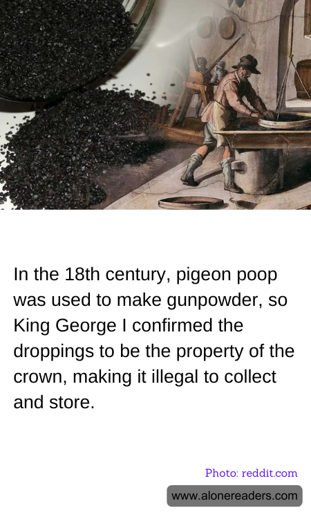 General Knowledge Learning Cards