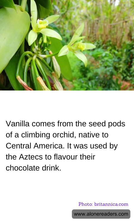 General Knowledge Learning Cards