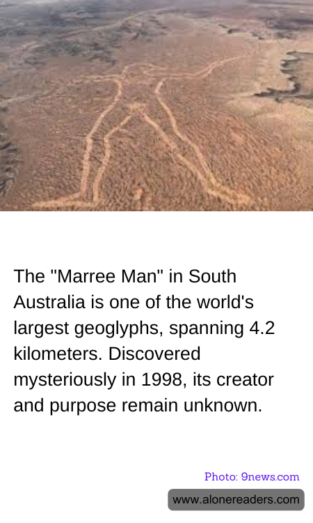 General Knowledge Learning Cards