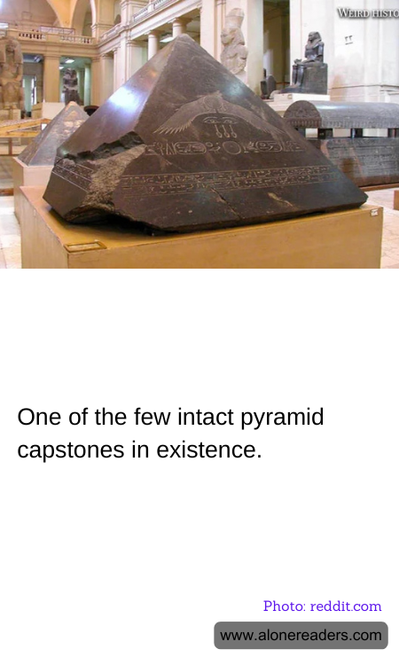 General Knowledge Learning Cards