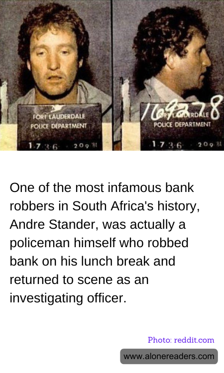 General Knowledge Learning Cards