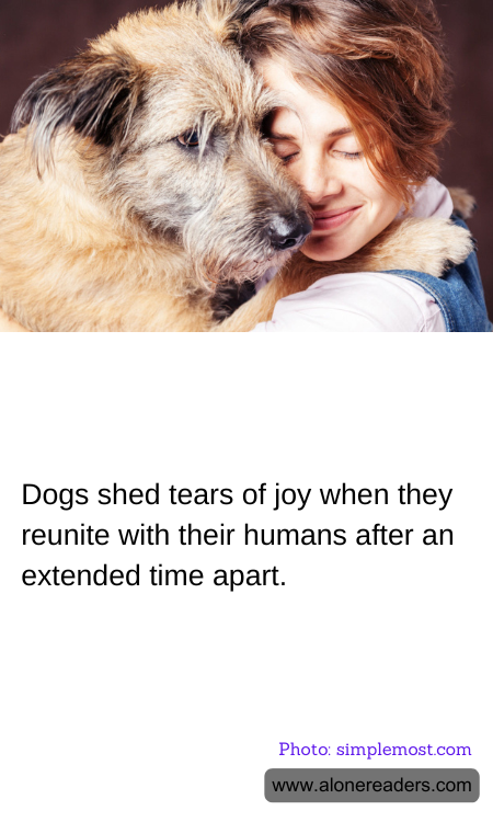 General Knowledge Learning Cards