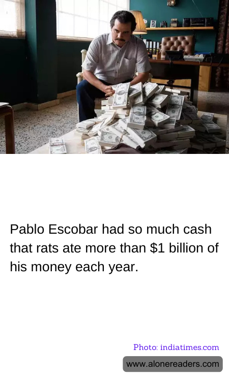Pablo Escobar had so much cash that rats ate more than $1 billion of his money each year.