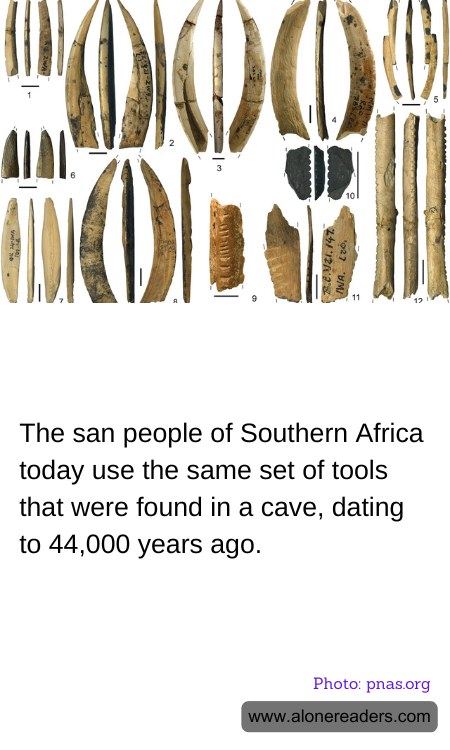 General Knowledge Learning Cards