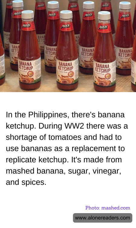 General Knowledge Learning Cards