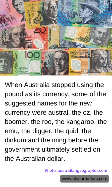 When Australia stopped using the pound as its currency, some of the suggested names for the new currency were austral, the oz, the boomer, the roo, the kangaroo, the emu, the digger, the quid, the dinkum and the ming before the government ultimately settled on the Australian dollar.