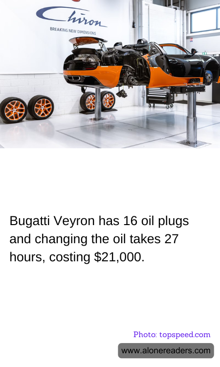 General Knowledge Learning Cards