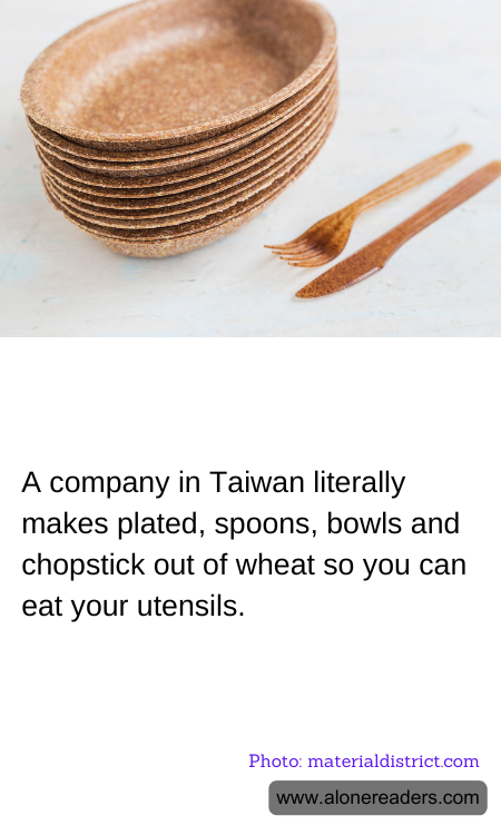 General Knowledge Learning Cards