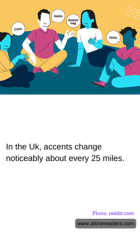 General Knowledge Learning Cards