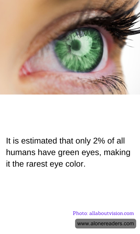 General Knowledge Learning Cards