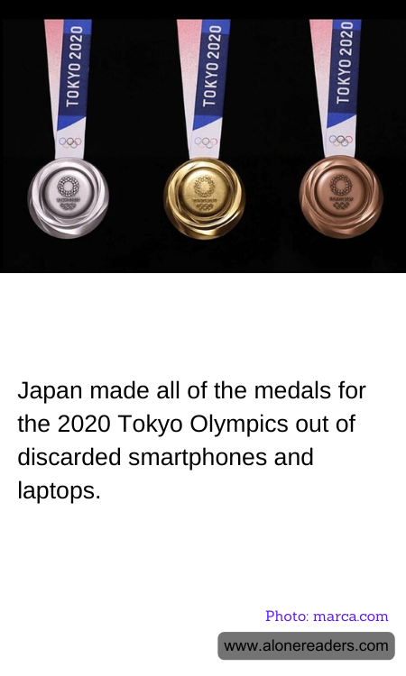 General Knowledge Learning Cards