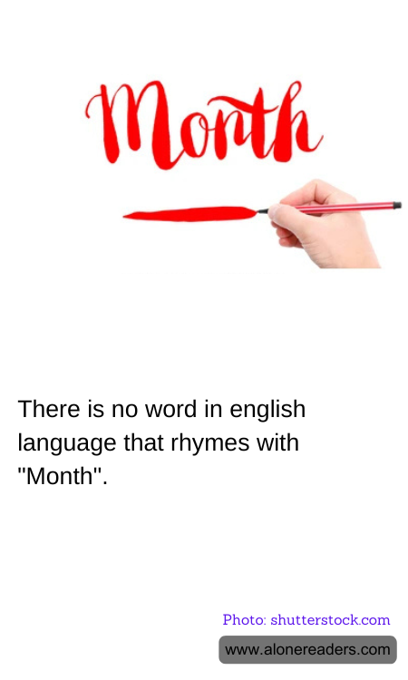 General Knowledge Learning Cards