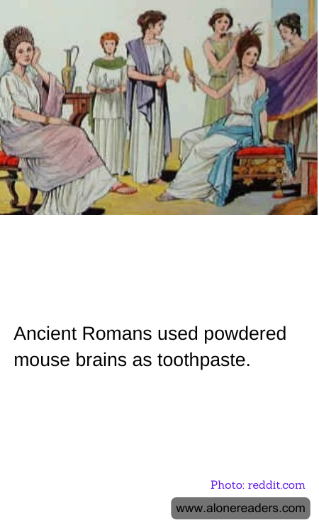 Ancient Romans used powdered mouse brains as toothpaste.