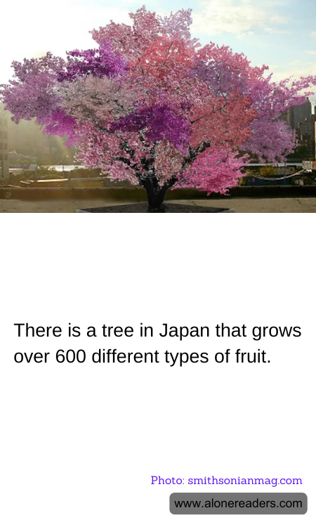 There is a tree in Japan that grows over 600 different types of fruit.