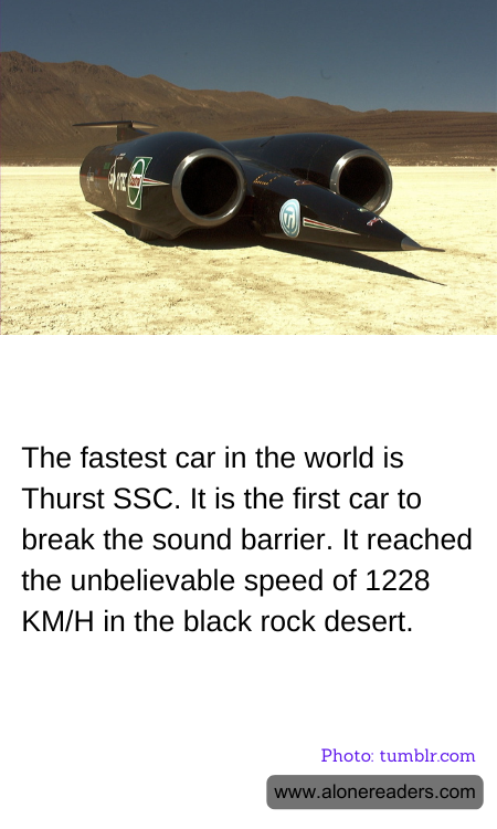 General Knowledge Learning Cards