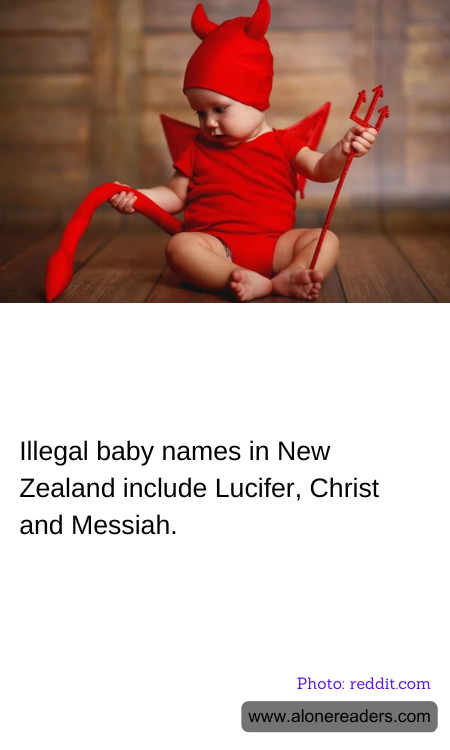 General Knowledge Learning Cards