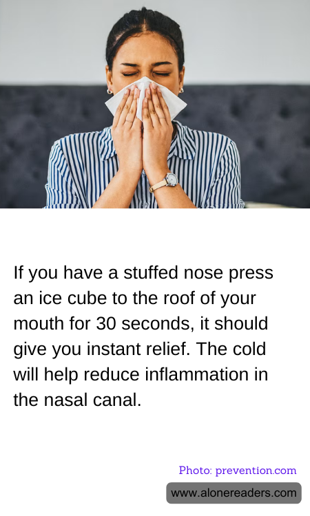 General Knowledge Learning Cards