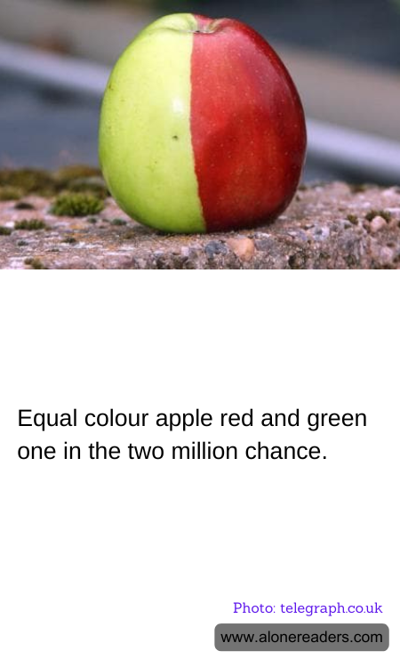 General Knowledge Learning Cards