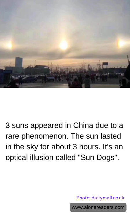 General Knowledge Learning Cards