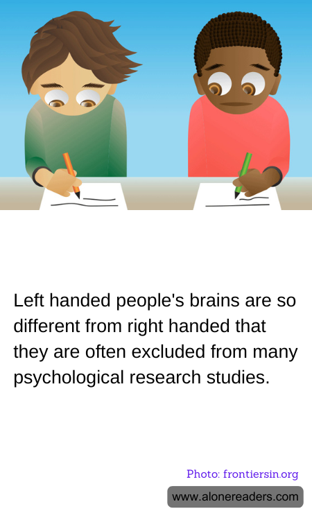 General Knowledge Learning Cards