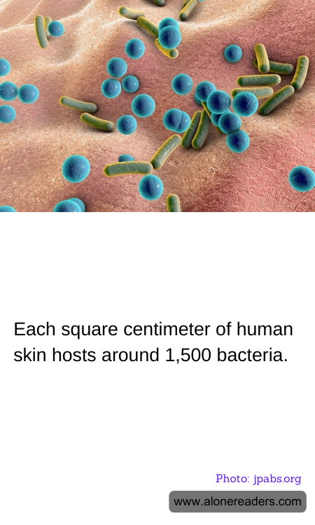 General Knowledge Learning Cards