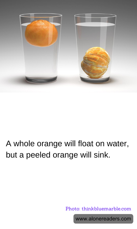 General Knowledge Learning Cards