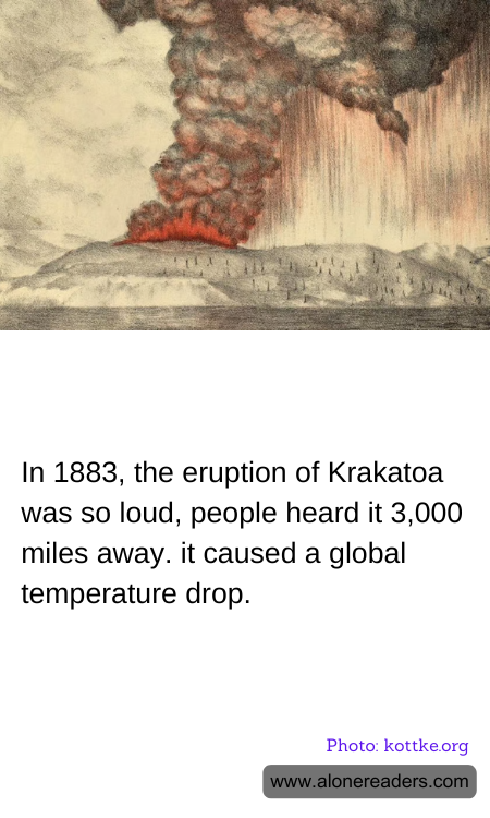 General Knowledge Learning Cards