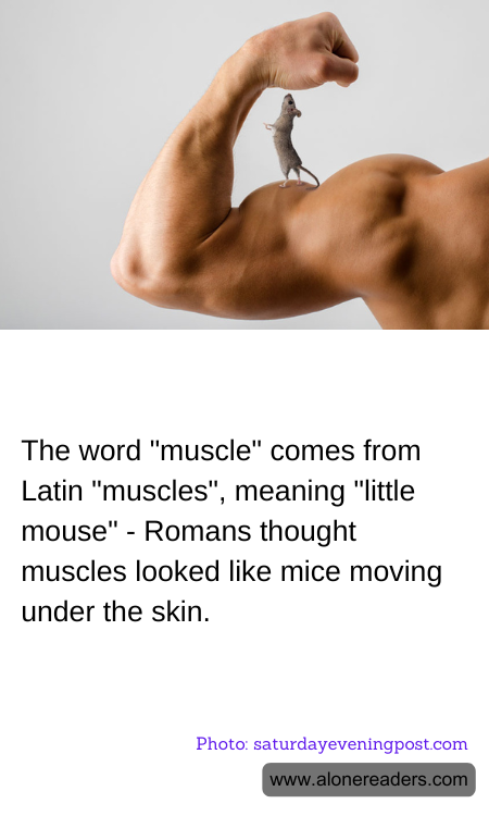 General Knowledge Learning Cards