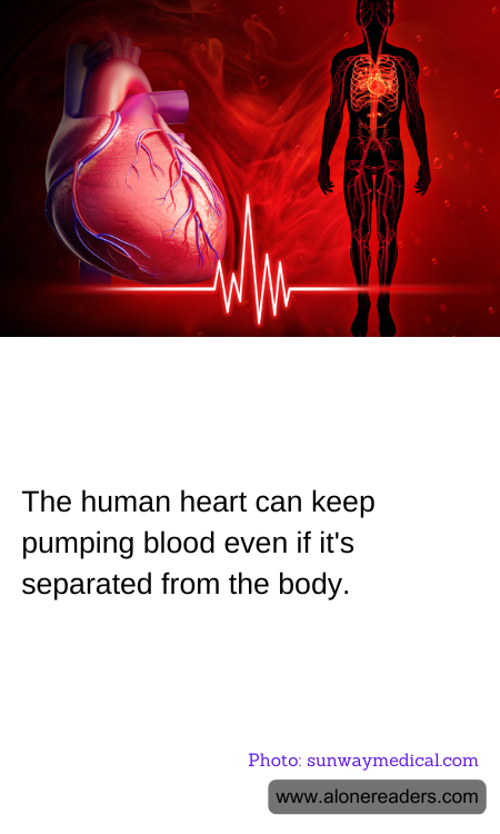 General Knowledge Learning Cards