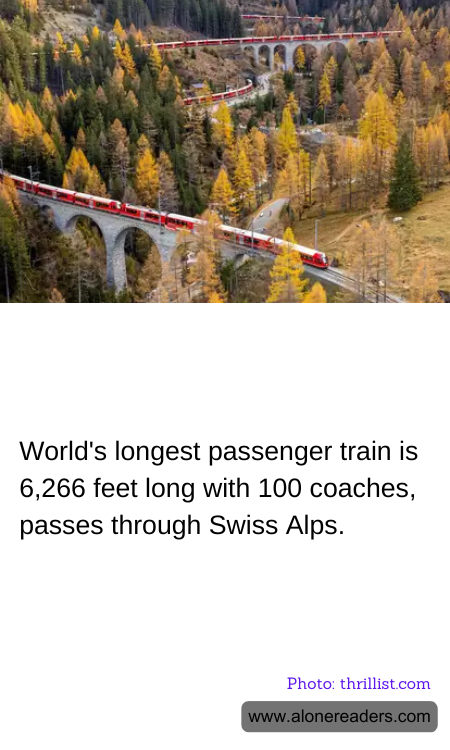 General Knowledge Learning Cards