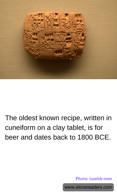 General Knowledge Learning Cards