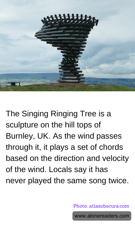 General Knowledge Learning Cards