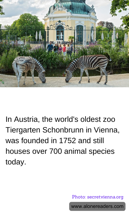 General Knowledge Learning Cards