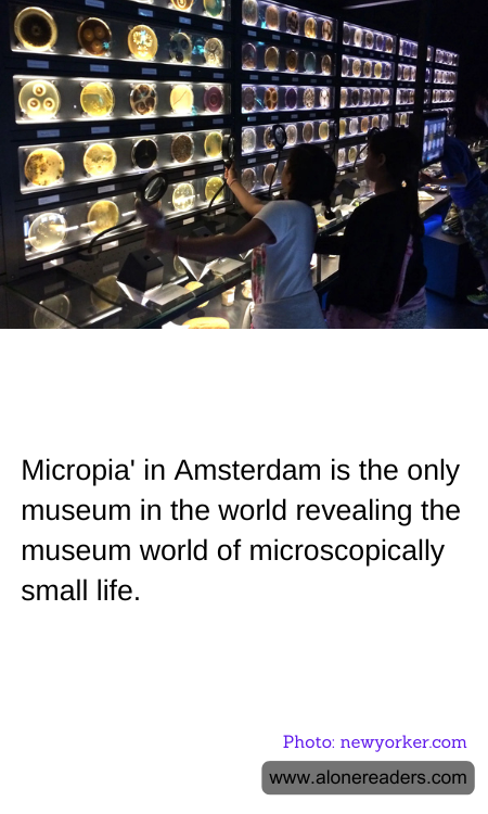 Micropia' in Amsterdam is the only museum in the world revealing the museum world of microscopically small life.