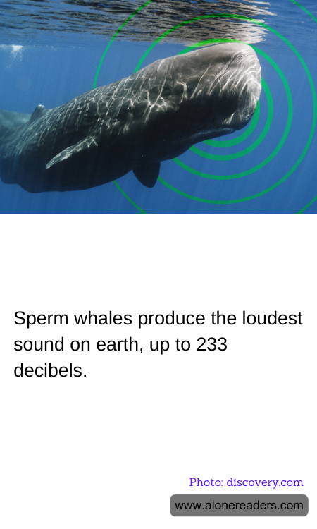 Sperm whales produce the loudest sound on earth, up to 233 decibels.
