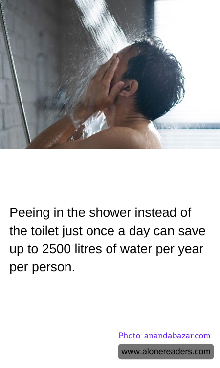 General Knowledge Learning Cards