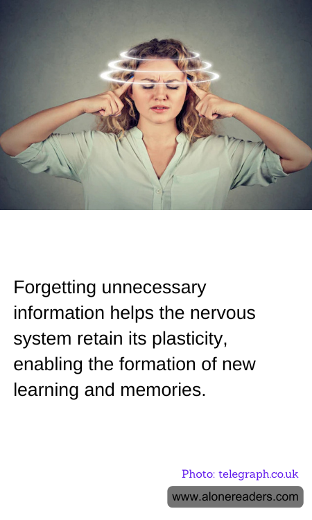Forgetting unnecessary information helps the nervous system retain its plasticity, enabling the formation of new learning and memories.